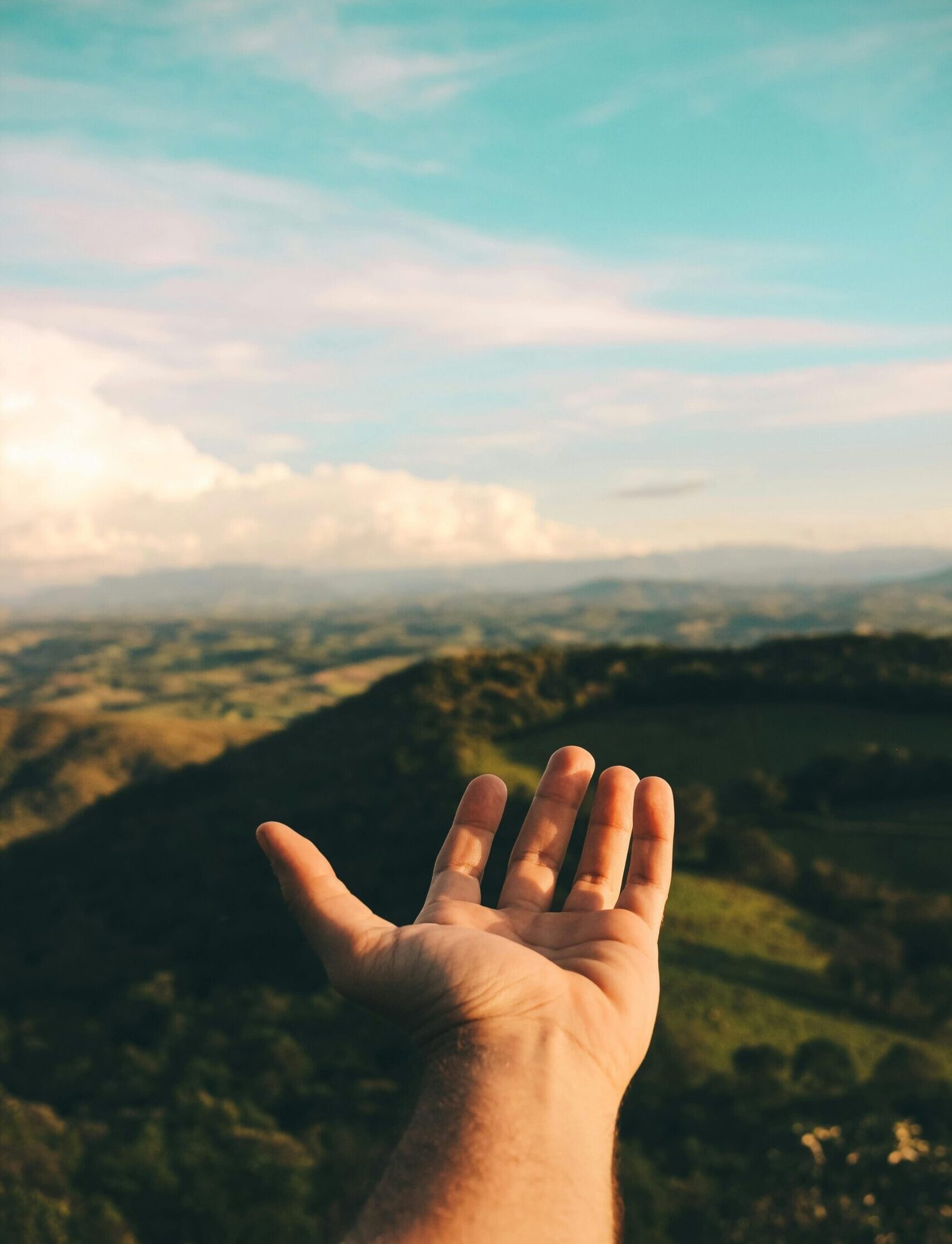 Person's Left Hand